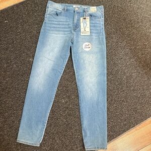 Blue Skinny Jeans with Subtle Fading and High-Rise Waist